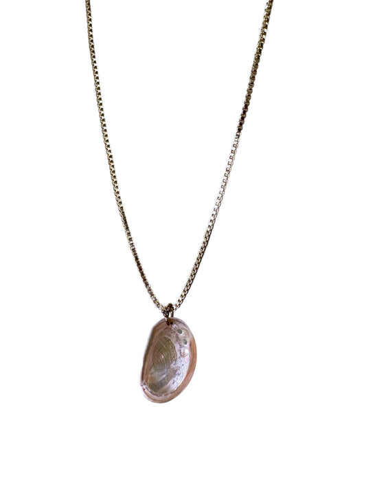 Mini Abalone Shell Necklace