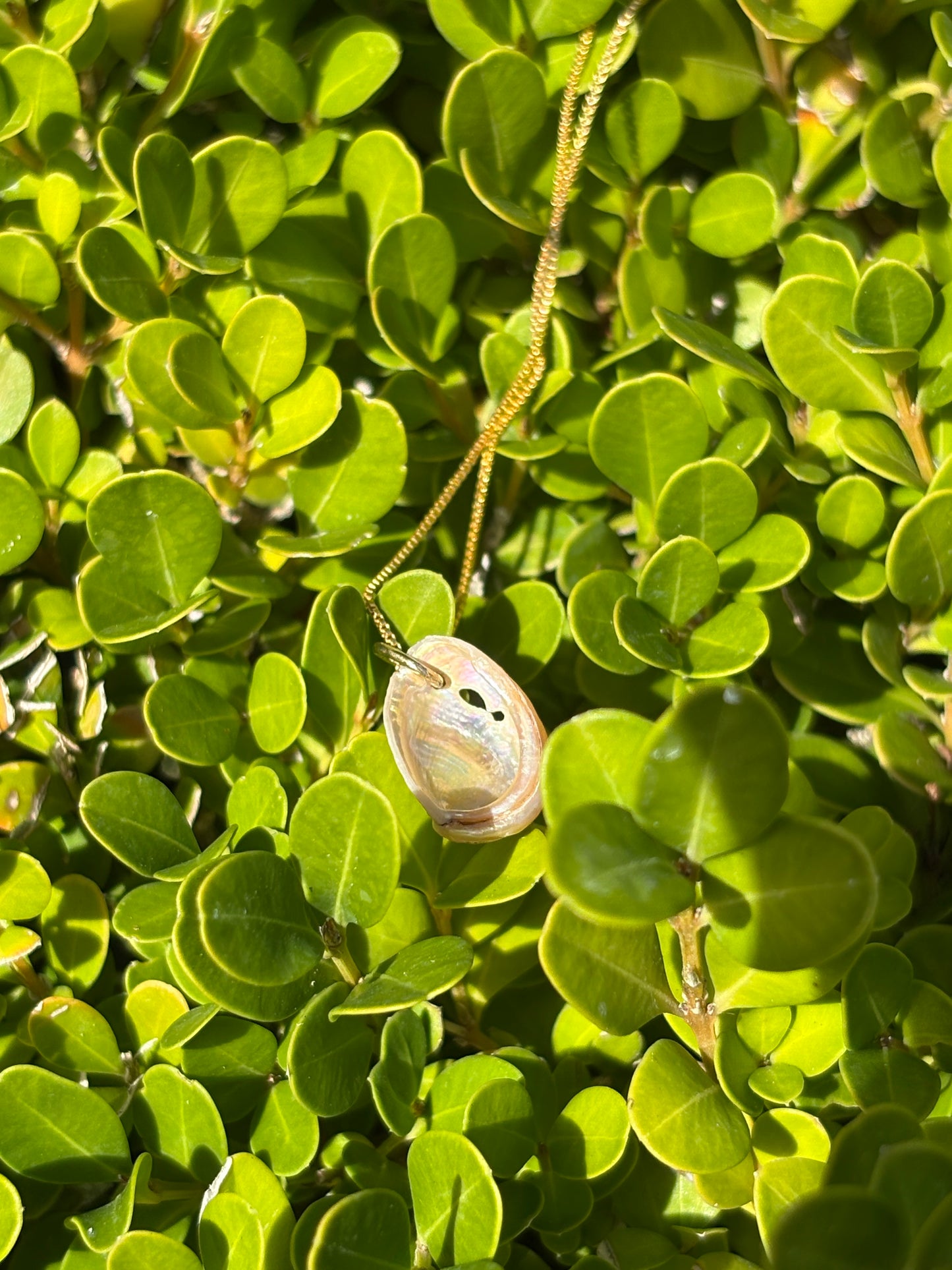 Mini Abalone Shell Necklace