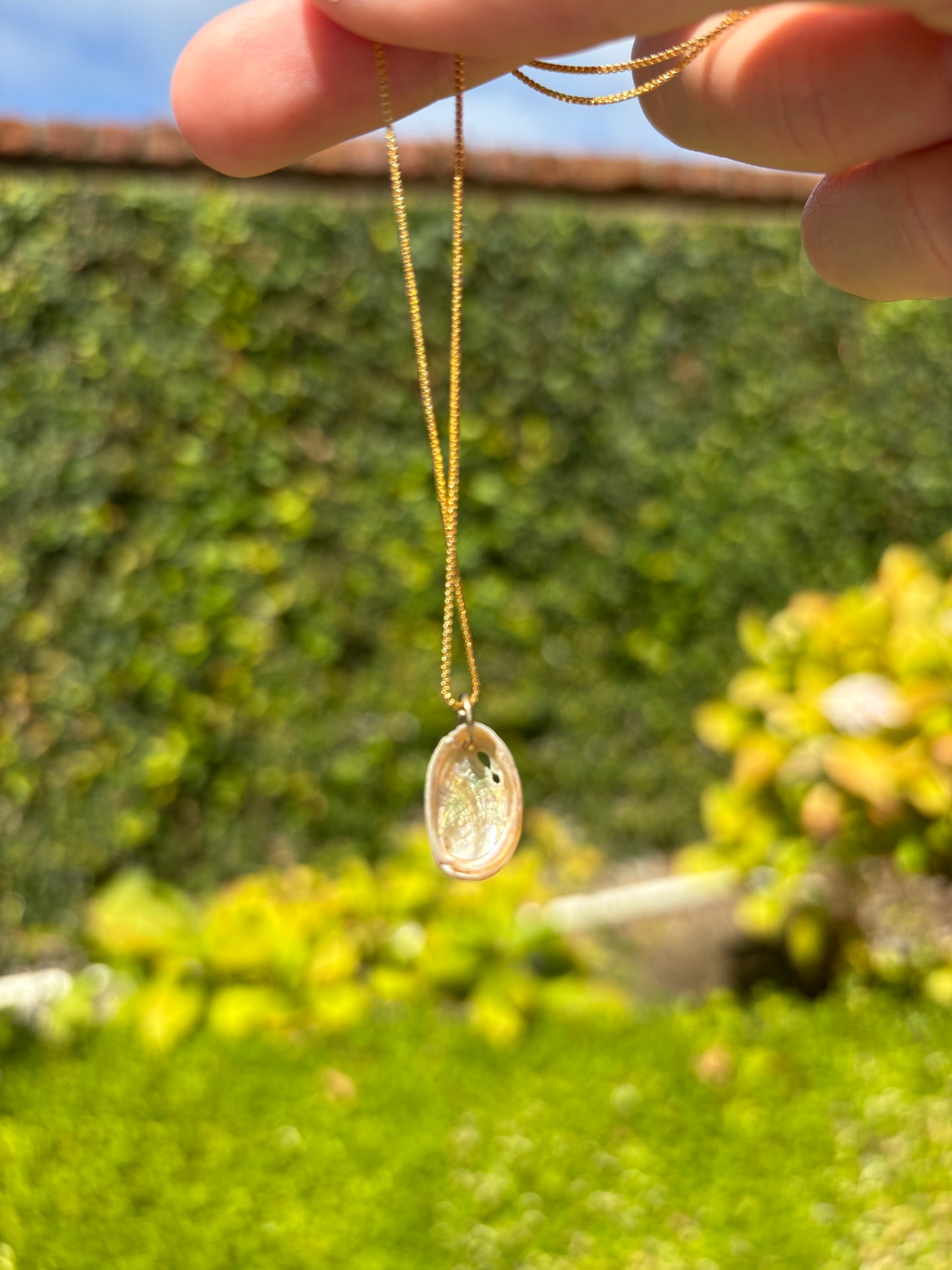 Mini Abalone Shell Necklace