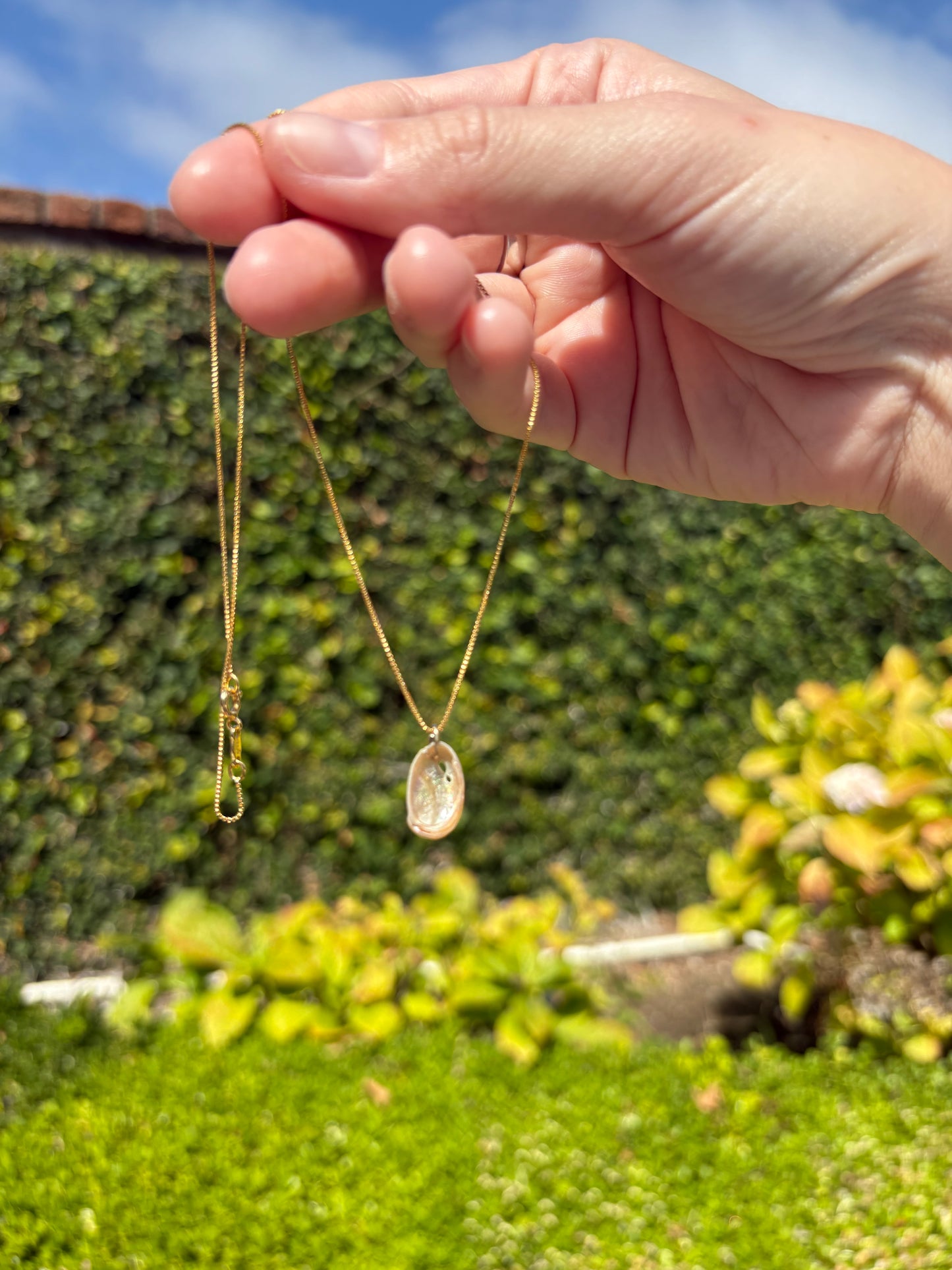 Mini Abalone Shell Necklace