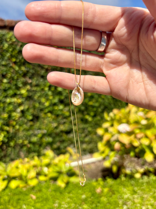 Mini Abalone Shell Necklace